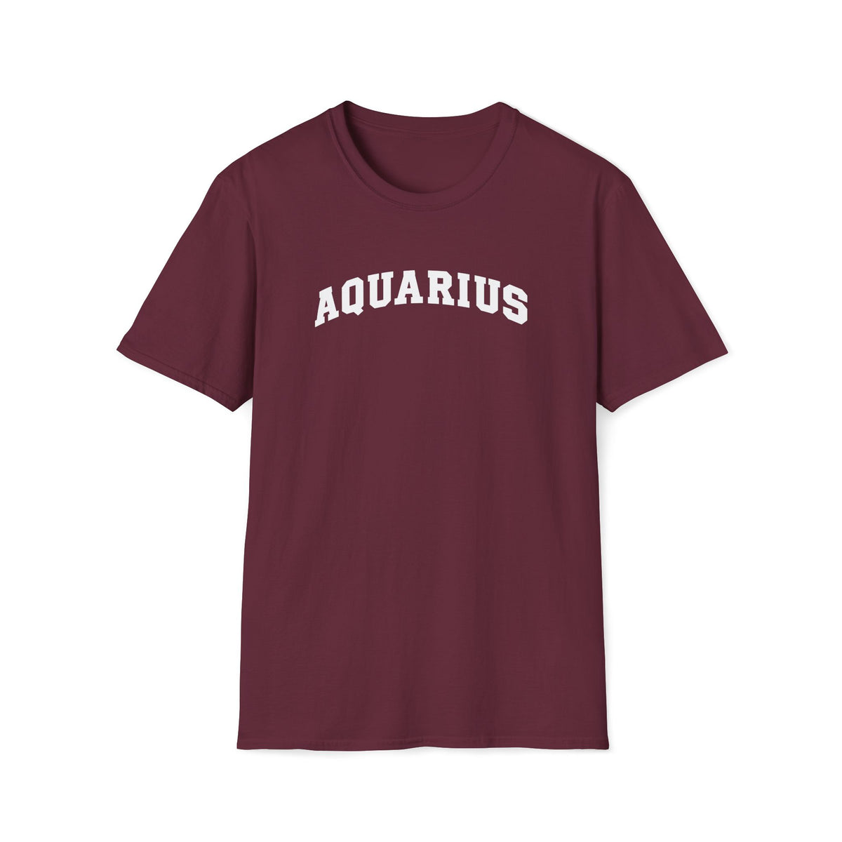 Aquarius Zodiac T-Shirt — Classic Collegiate Astrological Tee
